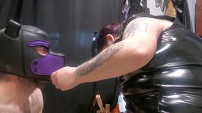 Pet Play Praise and pet Collar Training