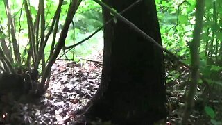 NICE HUGE CUM SHOWER OUTDOOR, IN PUBLIC FOREST, AMATEUR SOLO