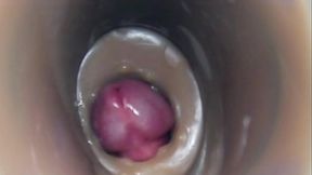 Internal camera fuck in pussy big pulsating cumshot