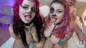 4k puppy play dog training fucking doggy style cum on face