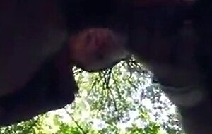 Two Gay Bears in the Woods