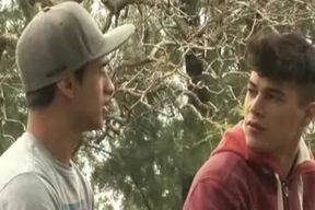 Lohan The Grizzly receives A Punch On enthralling Fox