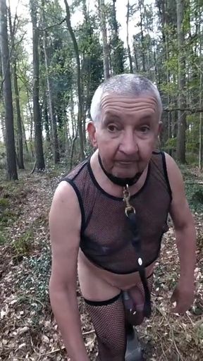 Memorable moment from &quot;Walk 18 2025&quot;