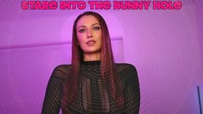 Stare Into The Bunny Hole