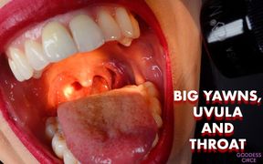 Big Yawns, Uvula and Throat (video Request)