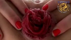 Naughty&#x1F608; amateur broad gets rough butt&#x1F351;-play, dildo-action, aggressive sex, gaping sphincter, prolapse climax&#x1F680;, full satisfaction