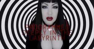 Deeply Programmed in the Labyrinth