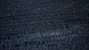 jasmine byrne has been dreaming of a white christmas, but since she lives in california,...
