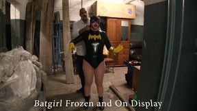 Batgirl Frozen solid and on display