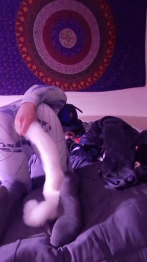 Pet Play Socks Plug Tail