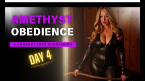 Day 4 - Amethyst Obedience | Mindfuck Slave Training