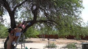 Interrupt Kitty's yardwork with fingering, a handjob and cum! On a ladder!