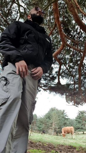 I Got Lost in the Woods, Can Anyone Help Me?