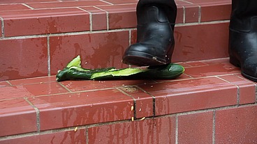 The horny rubber gardener 10 (vegetable stomping + boot care)