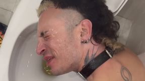 Mattew used a urinal by three young Alpa Males