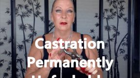 Castration Permanently Unfuckable HD (MP4)