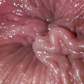 Close up ass fingering and dirty talk, anal masturbation orgasm