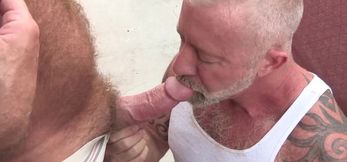 Woolly DILF nails a studs booty in a standing doggys