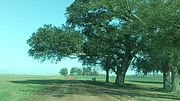 MEET A BEAUTIFUL STRANGER IN DESERTED FIELD!