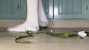 honey I shrunk role play sweep up giantess