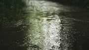 Raindrops falling 23213