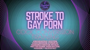 Stroke to Gay Porn: Cock Conversion Training