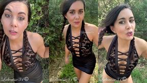 promenade dans les bois