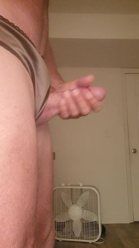 Masterbating in my sexy satin panties.