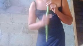 Desi Girl, Indian Desi Girl, Asian Hot Women Sexy Video
