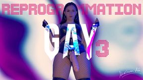 Reprogrammation gay 3