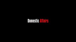 domestic affairs (full movie)