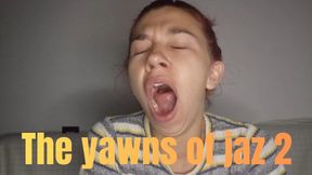 The yawns of jaz 2