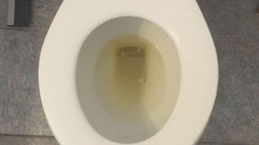 I PISS GOLD U WIGH GOLD WITH A CALCULATOR MUNEKEY PAW GAME