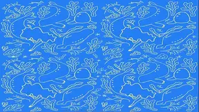 The Selkie (part 3)