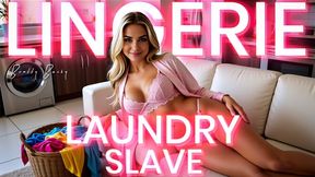 Locked in Lingerie Laundry
