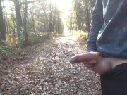 Public boner, public pissing, public flashing - Exhibitionist gay boy