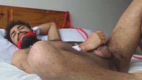 Cute bunny caught (SET 5)