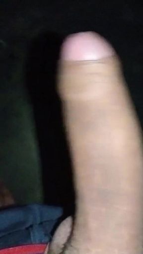 It Was Fun Without Leaving Bhabhi