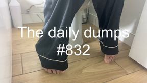 The daily dumps #832 mp4