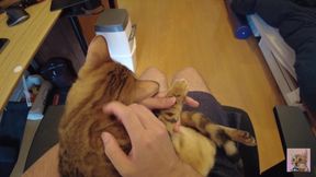 Playing