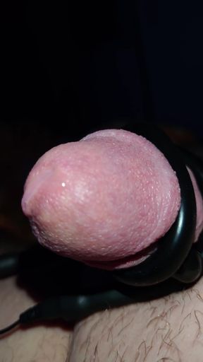 E-stimulation with Precum and Small Cock