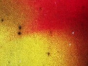 BRAZILIAN TRANSSEXUALS - Lunna DLucca Sensual Solo Play