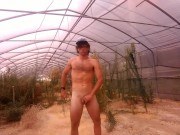Penis exercize in Desolate Greenhouse