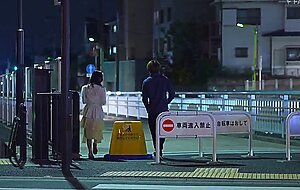 Fsdss-868 lover for only 3 days i met you in the middle of the night when i missed the last train,