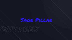 Sage Pillar'_s Barely Legal Encounter at the Cutie Pad