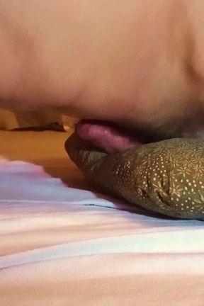 Naked Bed Hump Masurbation