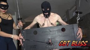 MISTRESS GAIA - CBT BLISS - HD