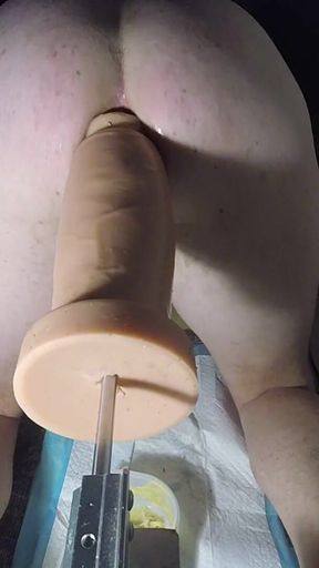 All-in My Ass