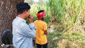 Intense Indian Threesome, Farmer And City Boy Unleash Passion In Sugarcane Fields - Gay Film Hindi