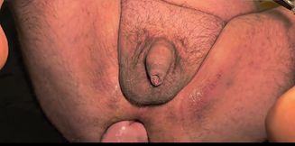 Chubby Bear Dildo Play